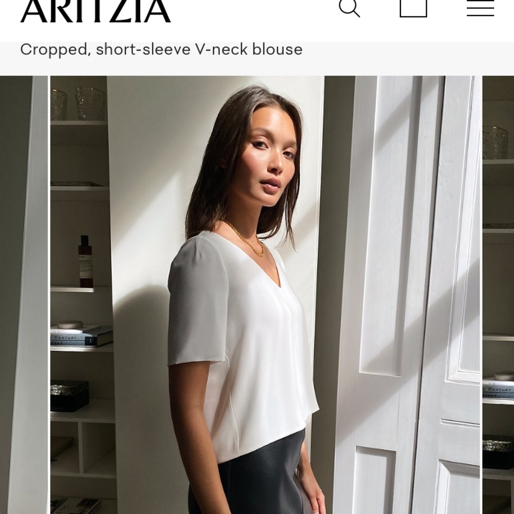 Aritzia Babaton Randy Blouse